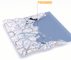 3d view of Tongha-ri