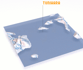 3d view of Tuniwara