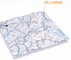 3d view of Sillyong-ni