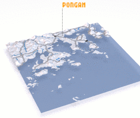 3d view of Pongam