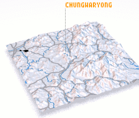 3d view of Chungwaryong