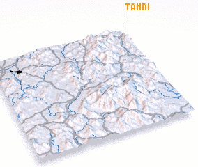 3d view of T\