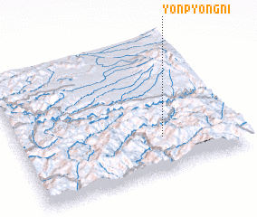 3d view of Yŏnp\