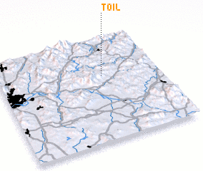 3d view of T\