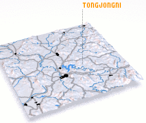 3d view of Tongjŏng-ni