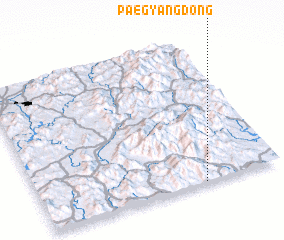 3d view of Paegyang-dong