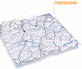 3d view of Tŏkpikkinae