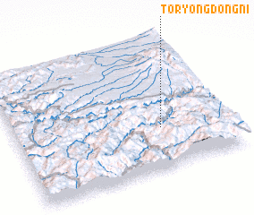 3d view of Toryongdŏng-ni