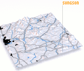 3d view of Sungsŏn