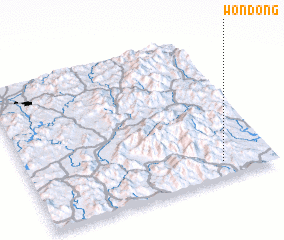 3d view of Wŏndong