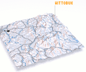 3d view of Wittobuk