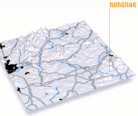 3d view of Nŭngnae