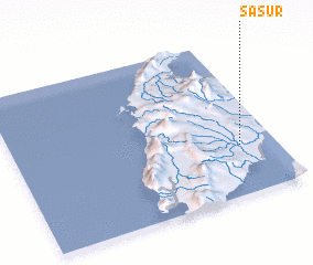 3d view of Sasur