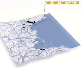 3d view of Samho-rodongjagu