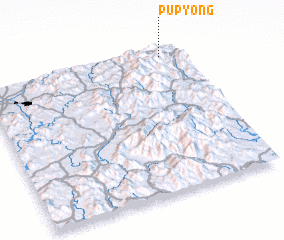 3d view of Pup\