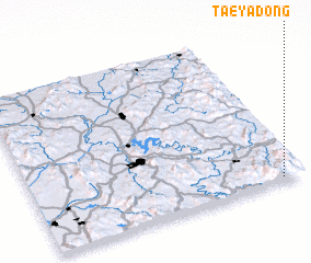 3d view of Taeya-dong