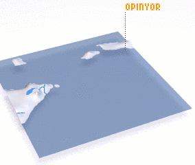 3d view of Opinyor