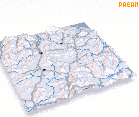 3d view of Paeam