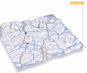 3d view of Simp\