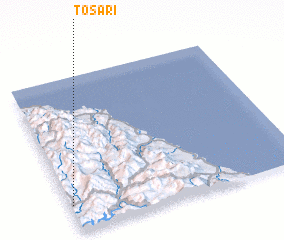 3d view of Tosa-ri