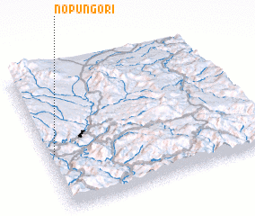 3d view of Nop\