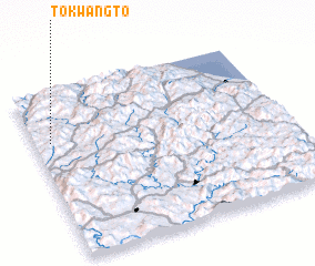 3d view of Tokwangt\