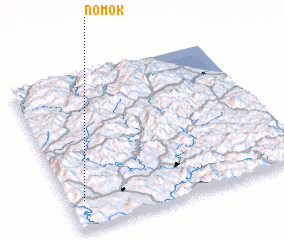 3d view of Nomok