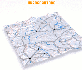 3d view of Hwanggak-tong