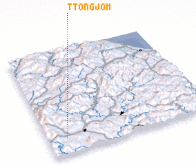 3d view of Ttongjŏm