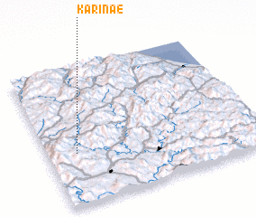 3d view of Karinae