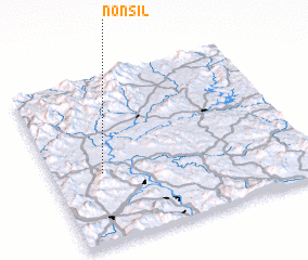 3d view of Nonsil