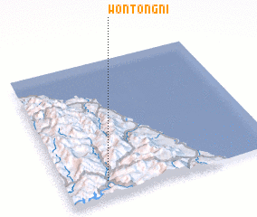 3d view of Wŏnt\