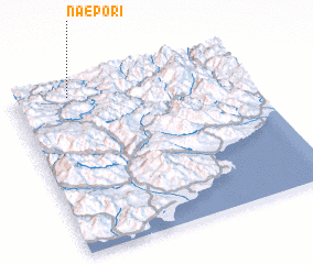 3d view of Naep\