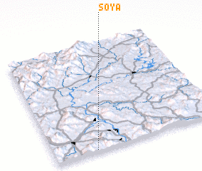 3d view of Soya