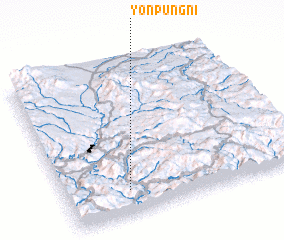 3d view of Yŏnp\