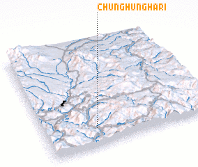 3d view of Chunghŭngha-ri