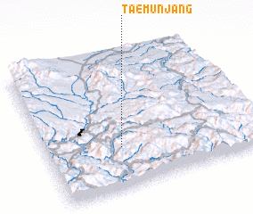 3d view of Taemunjang