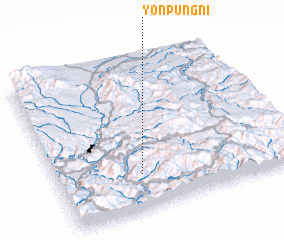 3d view of Yŏnp\