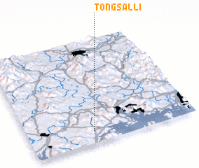 3d view of Tongsal-li