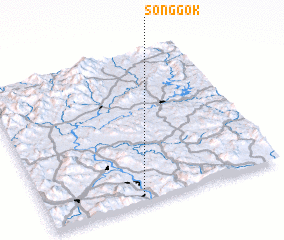 3d view of Sŏnggok