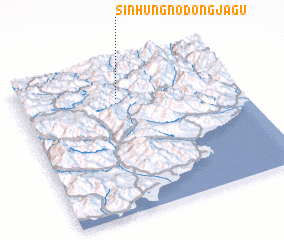 3d view of Sinhŭng-nodongjagu