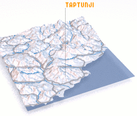 3d view of T\