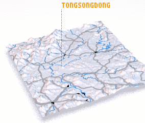 3d view of Tongsong-dong