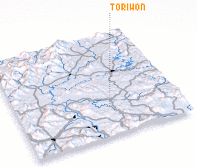 3d view of Toriwŏn