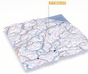 3d view of Naesin\