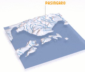 3d view of Pasingaro