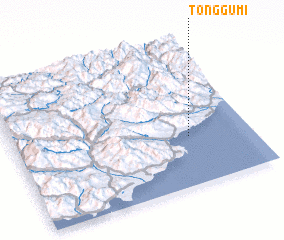 3d view of Tonggumi