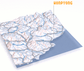 3d view of Wonp\