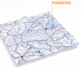 3d view of Pidae-dong