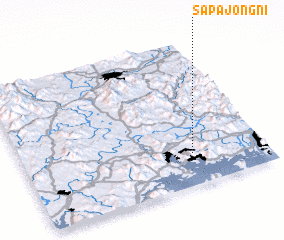 3d view of Sap\